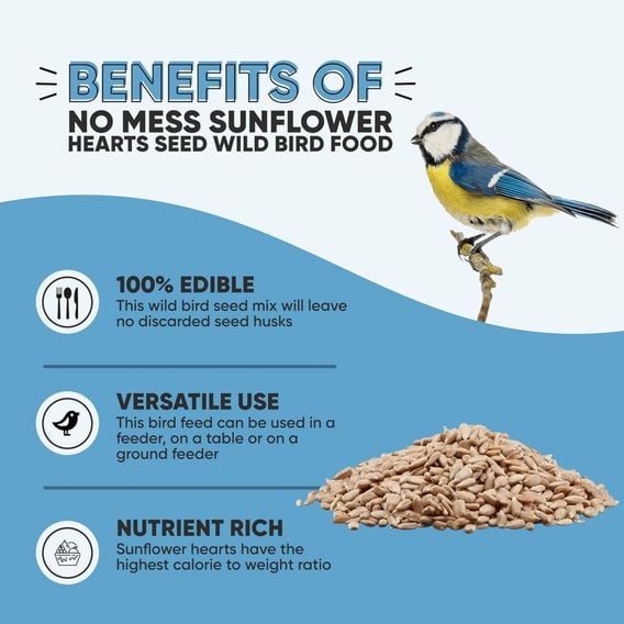 Happy Beaks - Sunflower Hearts